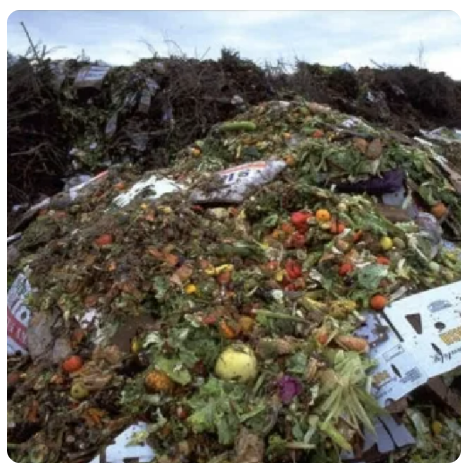 Bio-waste