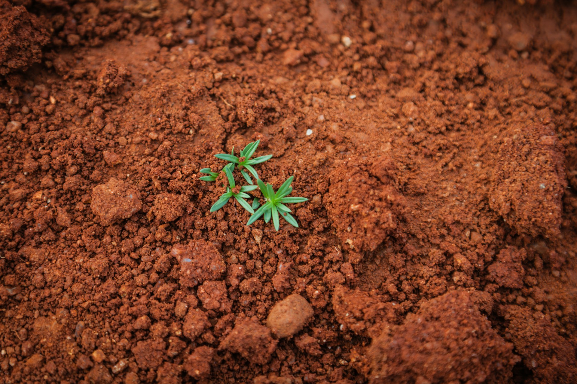 gardening tip soil types