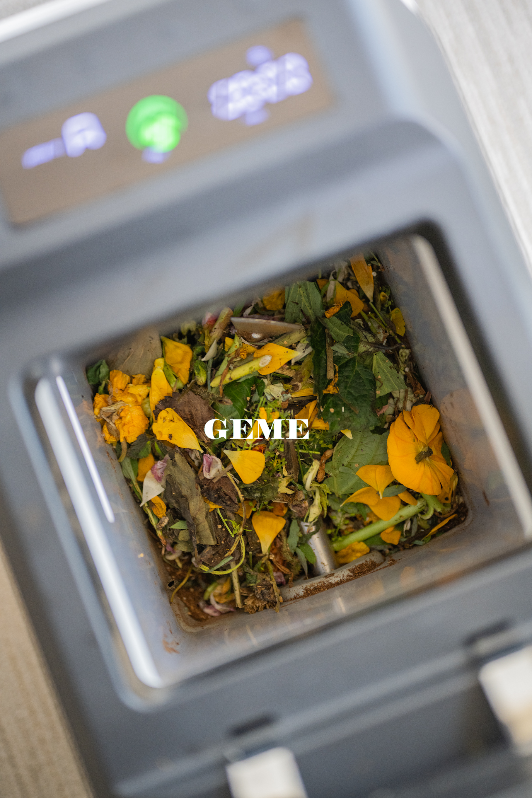 The Best Composter: GEME Terra II