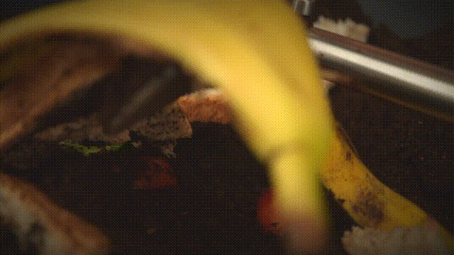 immagine di scarti alimentari