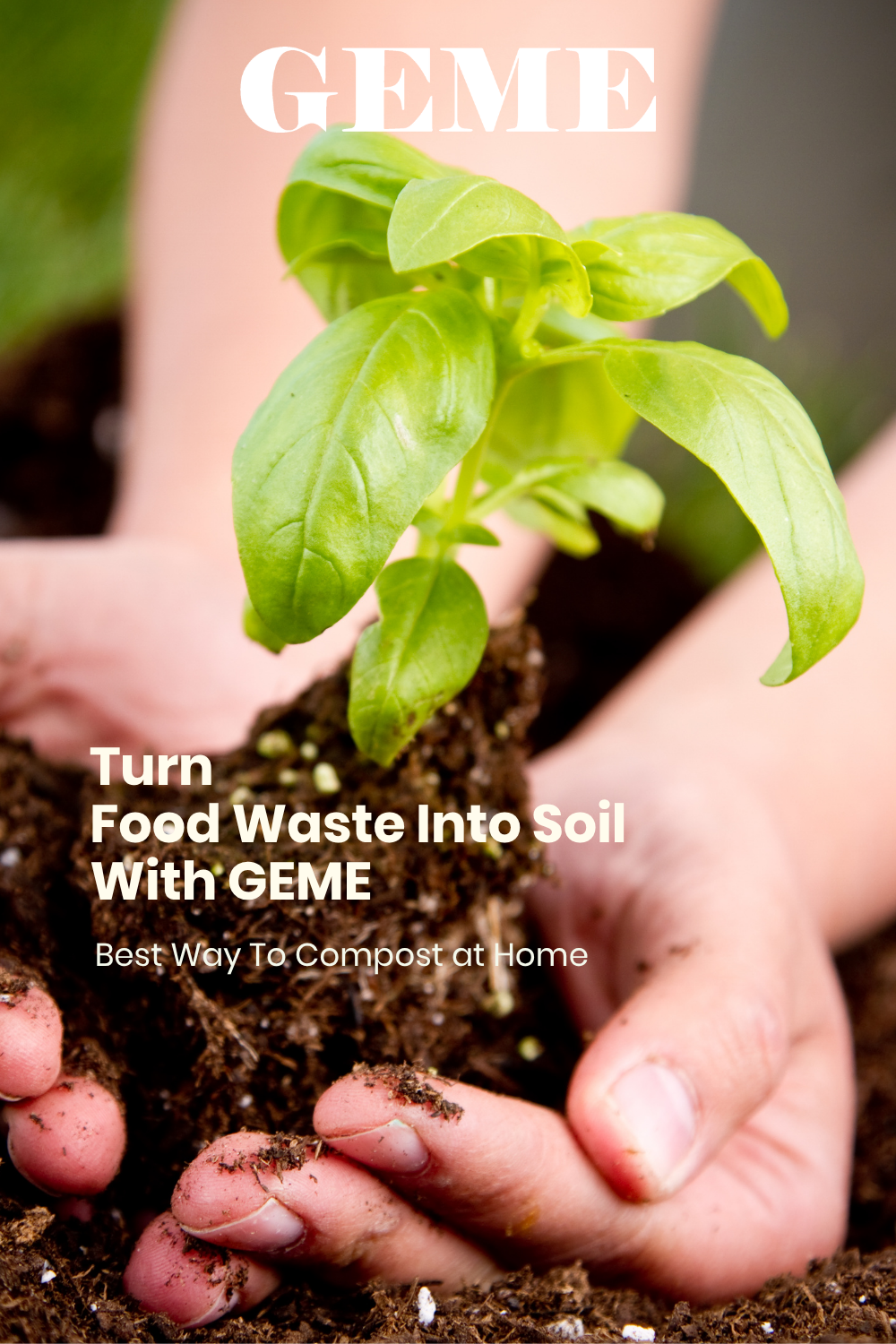 How to Compost at Home: A Complete Beginner's Guide