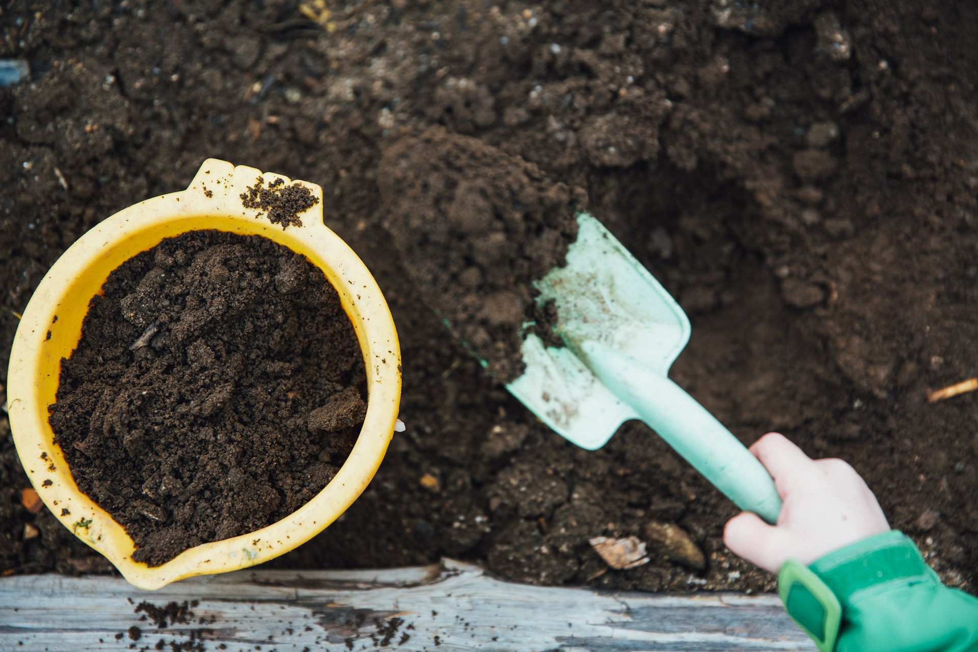 How to Use Compost For Your Garden in Spring