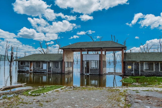recover soil and plants by composting after Texas floods