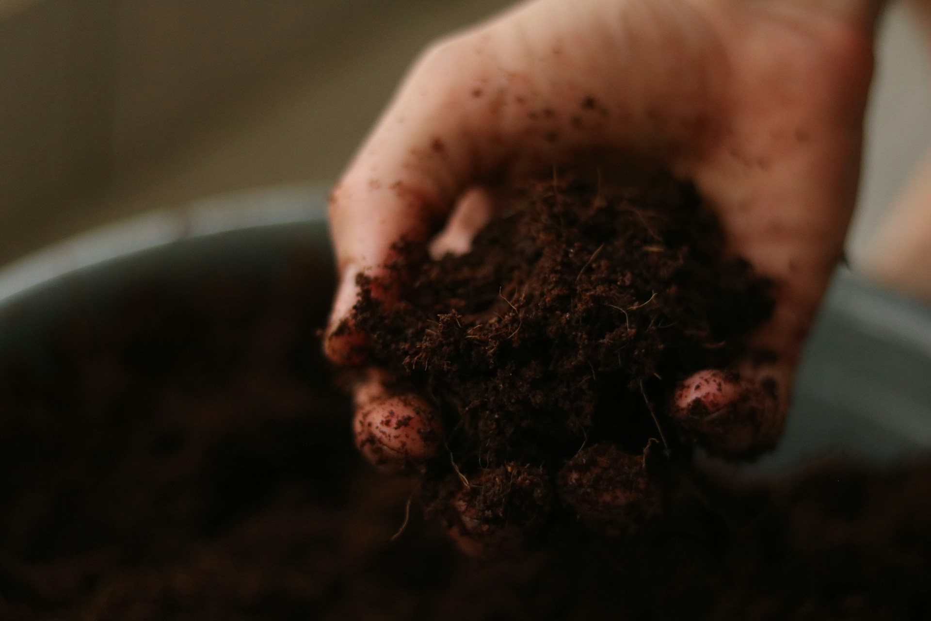 How to use GEME compost to fertilize your garden plants