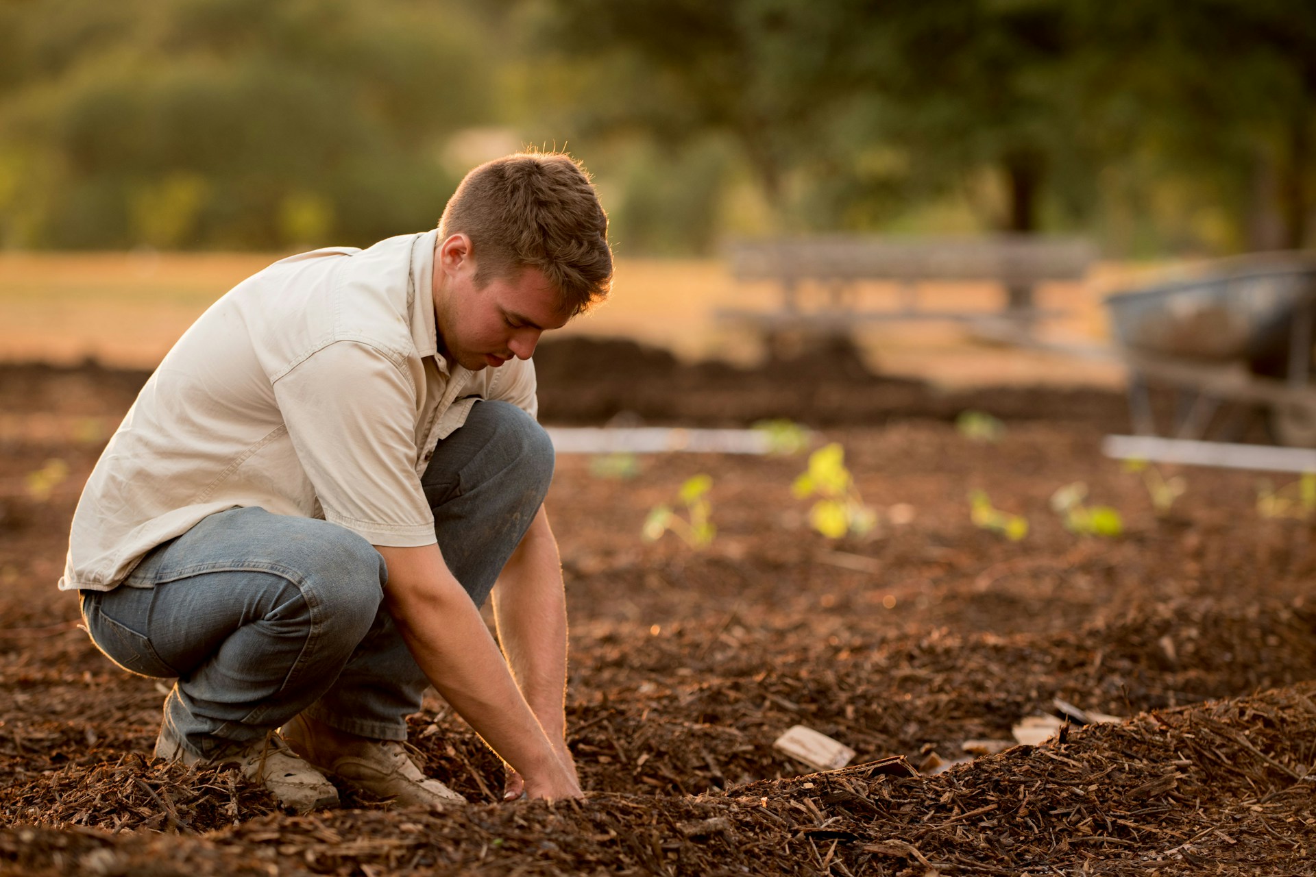 when garden soil vs compost